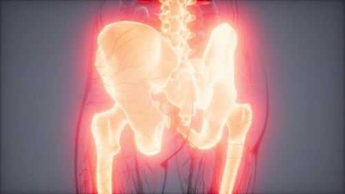 Glowing Human Pelvis and Spine 3D Medical Animation