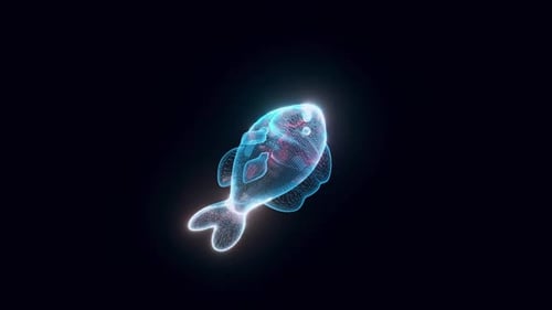 Stylized Fish Hologram 4k