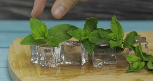 Mint Sprig Placed on Ice Cubes