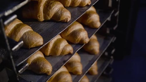 View of Rack of Plates with Freshly Baked Croissants in a Bakery