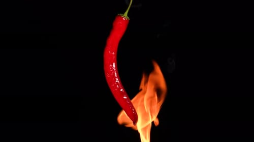 Red Hot Chili Peppers Roasting Over Fire on Black Studio Background