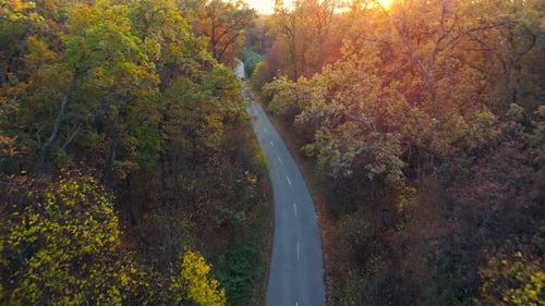 Aerial View on Autumn Forest Road