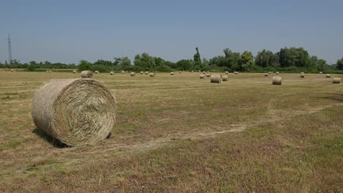 Hay Bale Field on a Sunny Day