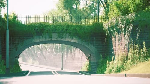 Bogenbrücke mit lebenden Buschzweigen im Park