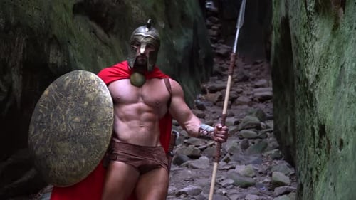 Medieval Warrior in the Woods