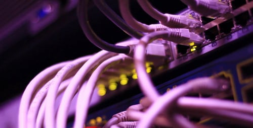 Close-up of Server with Ethernet Cables and Lights