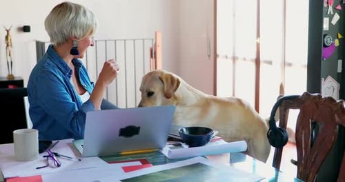 Woman Works at Home, Petting Dog
