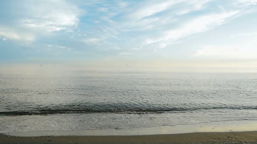 Beach Shore