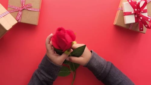 Child's Hands with Rose, Surrounded by Gifts