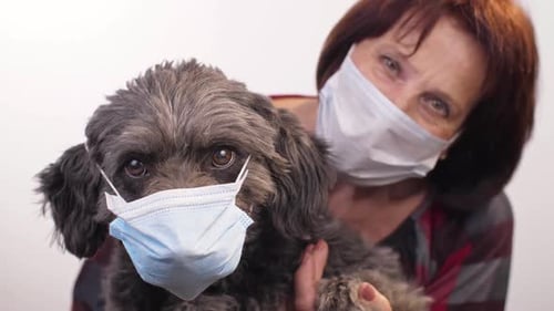 Woman Holds Dog Wearing a Medical Face Mask