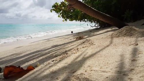 Aerial above scenery of tropical lagoon beach break by aqua blue sea and white sandy background of a