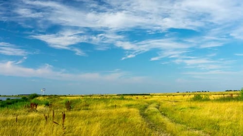 Meadow on the banks of the Vistula river.