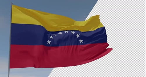 Realistic Venezuela National Flag Waving Animation
