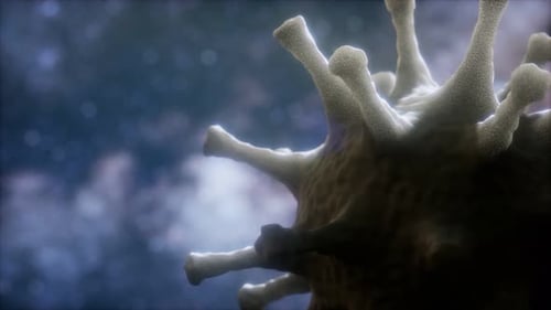 3D Animated Virus or Cell Structure Rotating in Microscopic Space