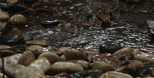 Rain on Pebble with Sound