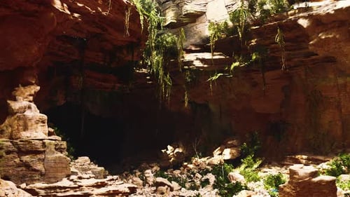 Large Fairy Rocky Cave with Green Plants