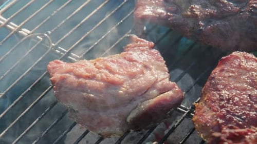 Köstliches gegrilltes Schweinefleisch auf Holzkohlegrill mit Rauch und Flammen, Nahaufnahme.