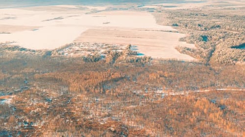 Aerial View Of Forest Village And Country Field Skyline In Winter Frozen Sunny Day