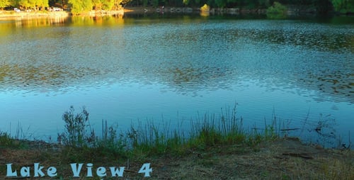 Lake View 4