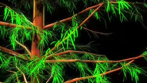 Picea Abies Tree Botanisches 3D-Rendering