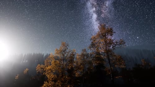 Milky Way Stars with Moonlight