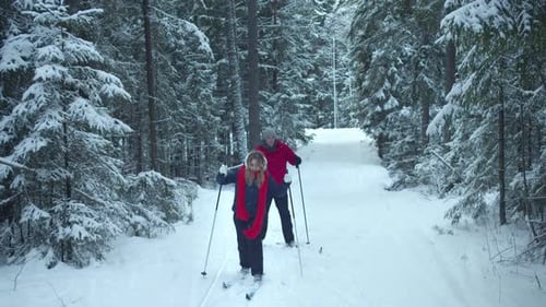 Skianfänger gehen im Fichtenwald spazieren