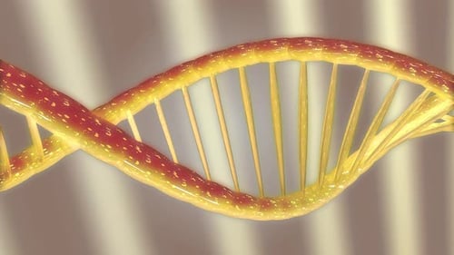 Orange Dna Seamless Loop