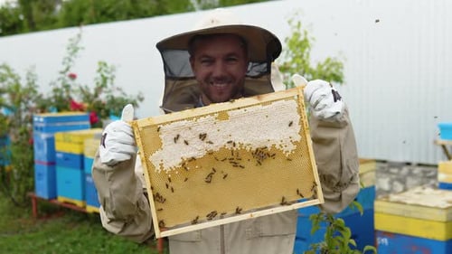 Ein Mann in Schutzanzug und Hut hält einen Rahmen mit Bienenwaben im Garten