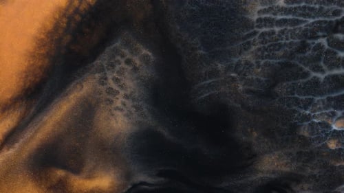 Golden and Black Fluid Ink Abstract Motion Background