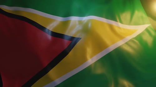 Guyana Flag