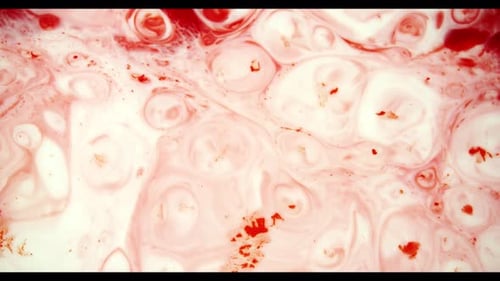 Abstract Swirling Colors