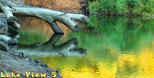 Lake View 5
