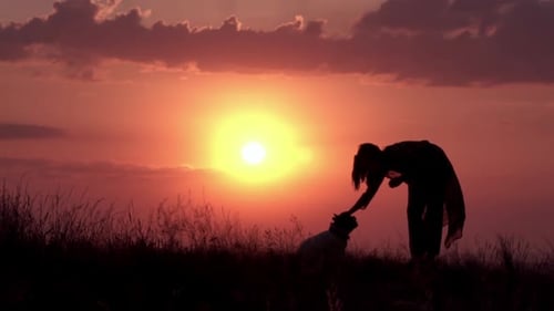 Woman Pets Dog in Field at Sunset
