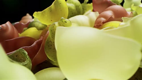 Close Up of Multicolored Pasta Shells