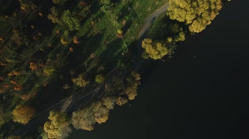 Flight Over The Autumn Park. Park On The Shore Of A Large Lake.