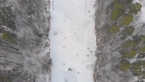 Frozen River Forest