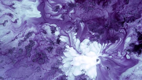Abstract Purple and White Paint Mixing Close Up