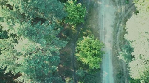 the Road Is Surrounded By Green Trees on a Clear Day, View From the Top