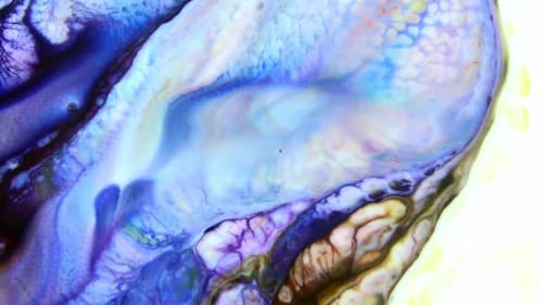 Abstract Liquid Ink Paint Swirls in Dreamlike Motion