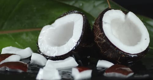 Fresh Coconuts with Splashing Water on Green Leaf