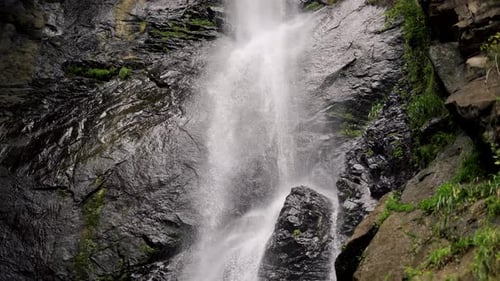 A Beautiful Waterfall in Green Forest