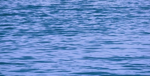 The Sea