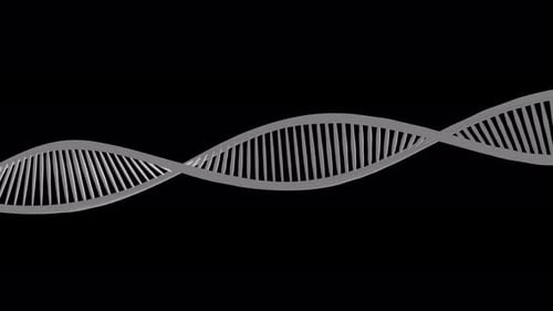 Looping 3D DNA Helix Structure Science Background