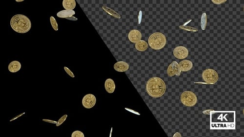 Falling Cryptocurrency Coins Alpha Channel Animation