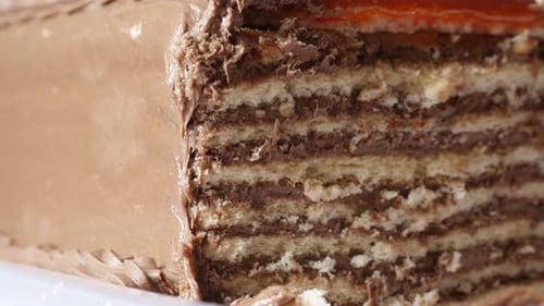 Delicious Chocolate Layer Cake Close-Up View