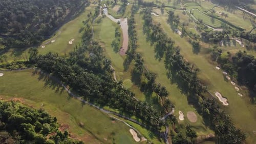 Aerial view beautiful scenery of golf with palm tree