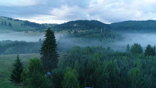 Aerial View of Rolling Hills with Morning Mist