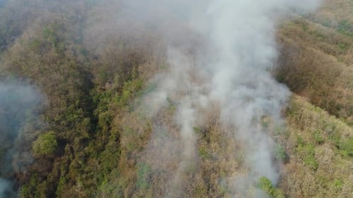 Forest Fire in the Mountains