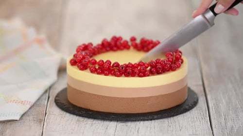 Creamy Chocolate Cake with Red Currant Berries