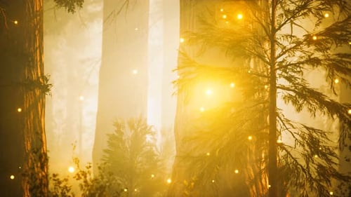 Fantasy Firefly Lights in the Magical Forest